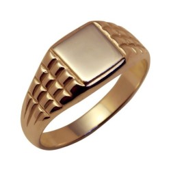 Gold ring Nr. 119