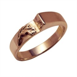 Gold ring Nr. 133