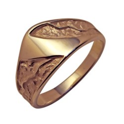 Gold ring Nr. 145