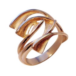 Gold ring Nr. 173