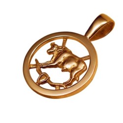 Gold pendant Nr. 585