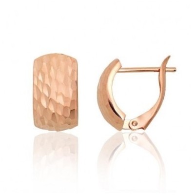 Zelta auskari Nr. 5013