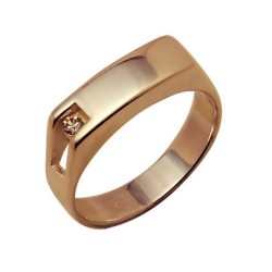 Gold ring Nr. 509
