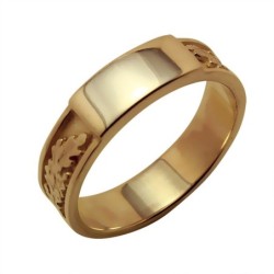 Gold ring Nr. 668