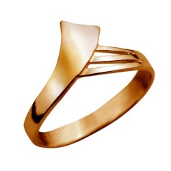 Gold ring Nr. 36