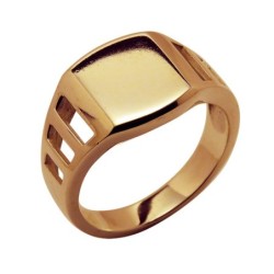 Gold ring Nr. 784